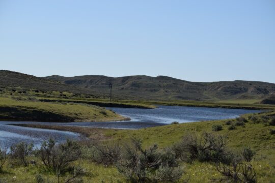 Spring Creek Ranch