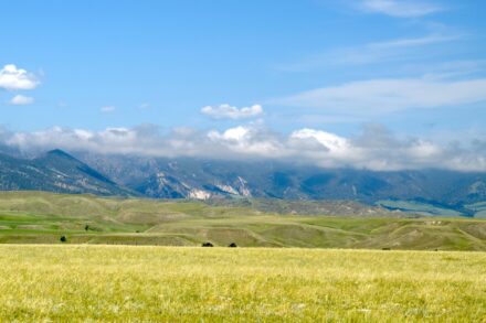 Wyoming land for sale