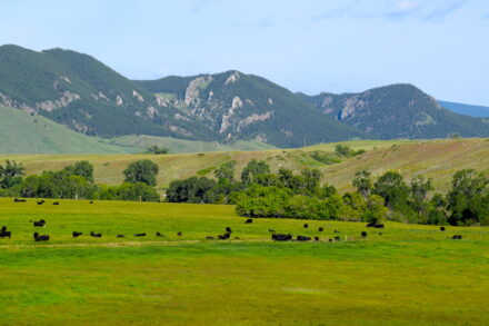Wyoming Ranches for Sale