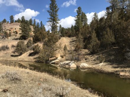 Otter Creek
