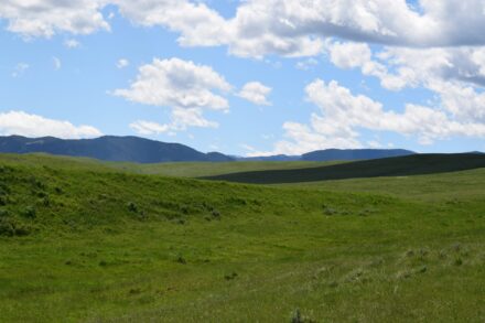 Bighorn Mountains Foothill Land for Sale