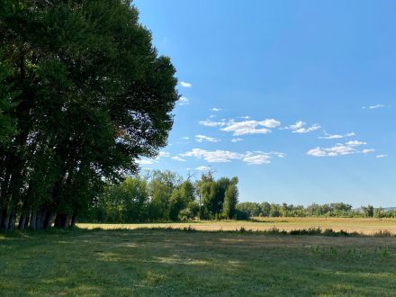 Riverfront pasture land