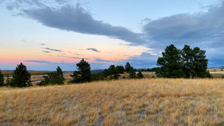J&M Yelllowstone Valley Land sunset
