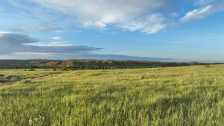 Land for Sale in Wyoming and Montana