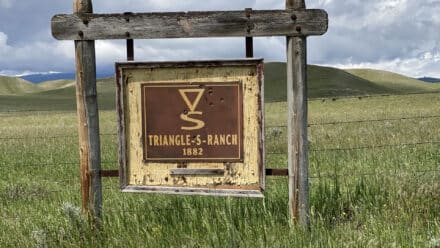 Triangle S Equestrian Ranch sign