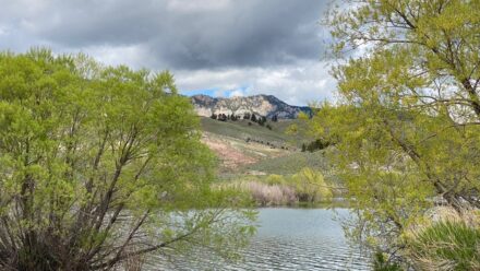Muddy Creek