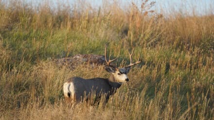 S. Ash Creek Land