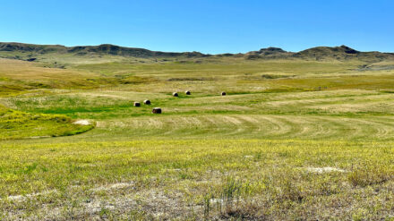 waisner creek hay ground