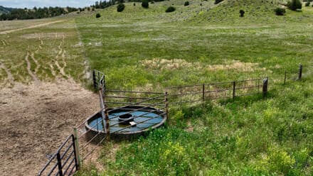 holmes ranch water and paddock setup