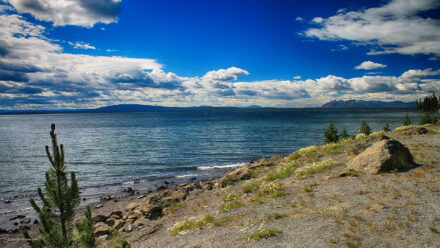 Yellowstone Lake thumbnail