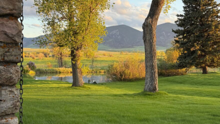 morning on cato ranch