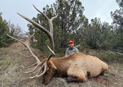 wild horse creek ranch elk