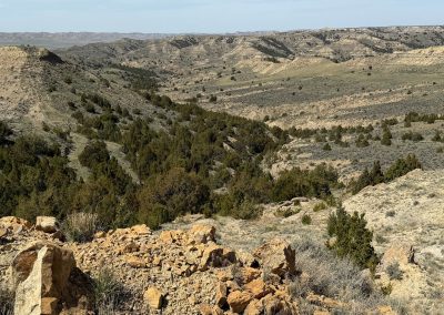 wild horse creek ranch landscape(2)