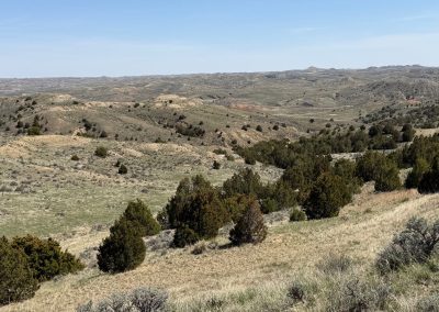 wild horse creek ranch landscape(4)