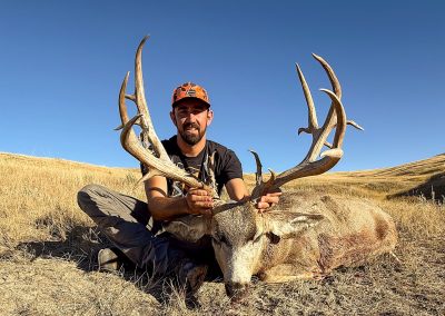 wild horse creek ranch mule deer