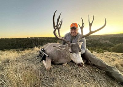 wild horse creek ranch mule deer(1)