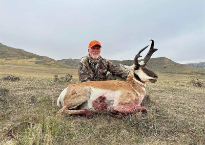 wild horse creek ranch pronghorn