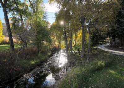 creek sunlight