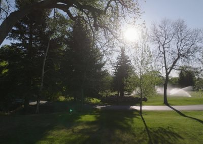 lawn sprinklers