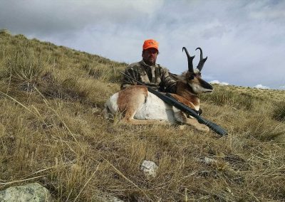 wildlife antelope