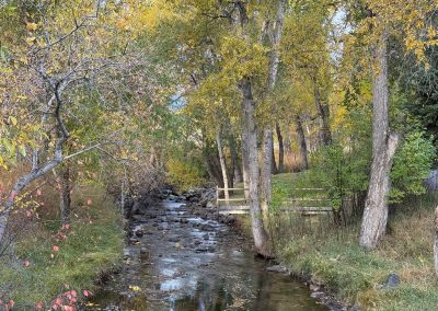 autumn creek