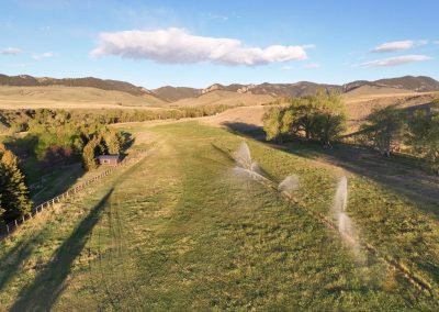 irrigated meadow
